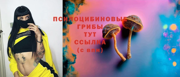 твердый Алзамай