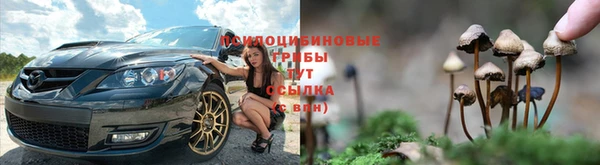 твердый Алзамай