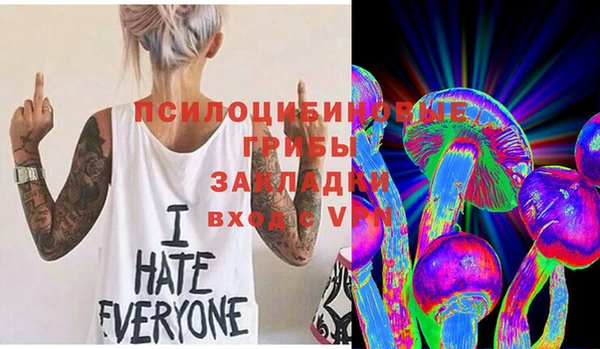 прущая мука Абаза